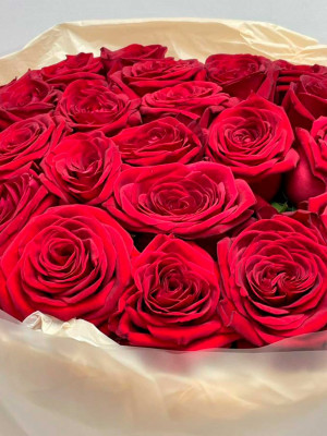 Букет красных роз (25 шт)